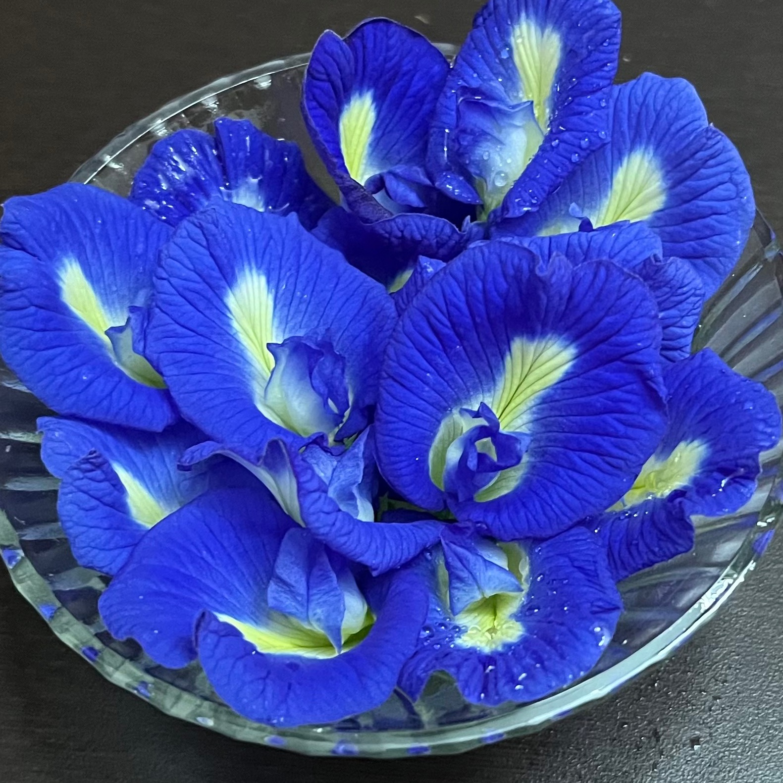 Diya Nishan