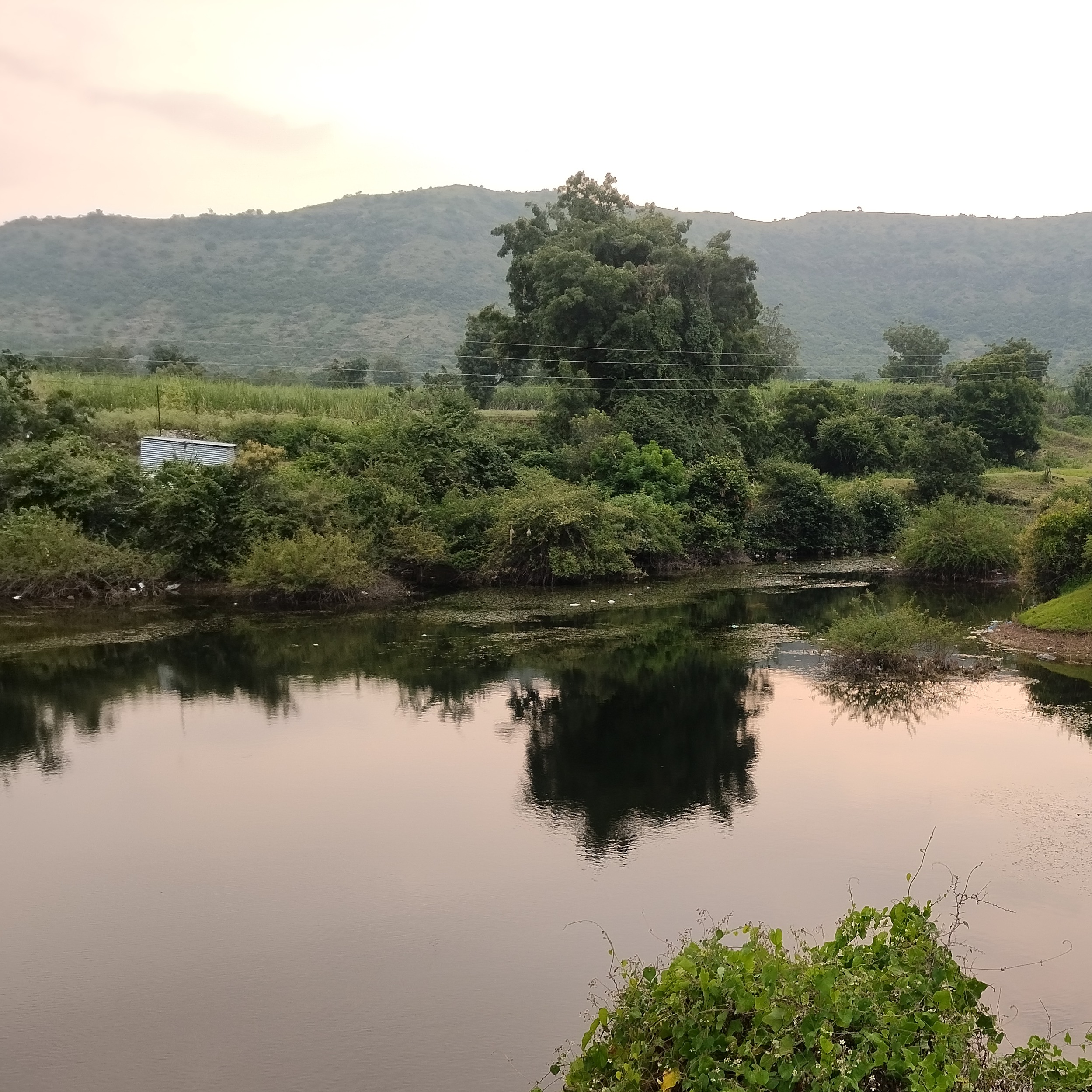 Sujal Chorge