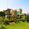 Synetic Business School Ludhiana
