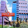 Dr Ambedkar Global Law Institute Tirupati