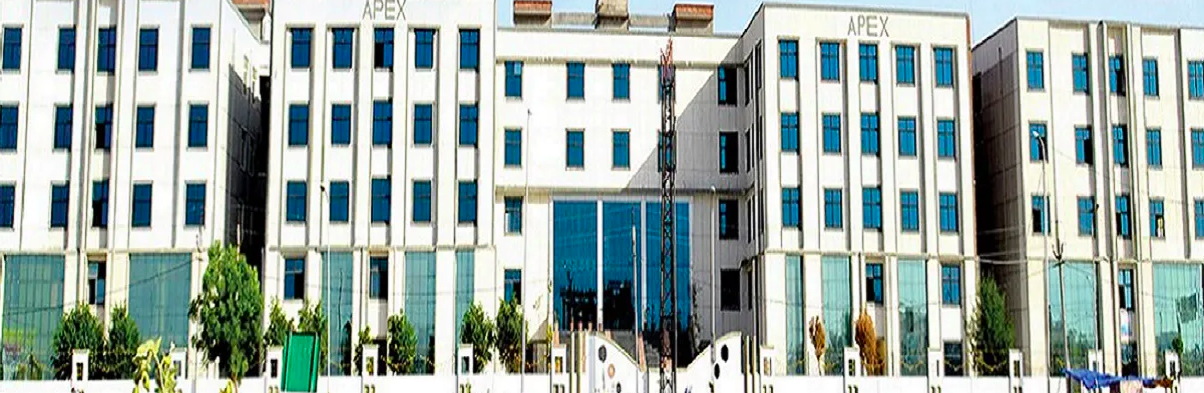Apex University Jaipur