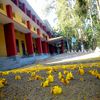 Sree Narayana College Alatur