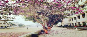 undefined cover image