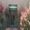 Acropolis Institute Of Design Indore