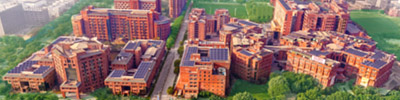 Sharda University