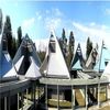 Wildlife Institute of India Dehradun