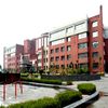 Amity School of Performing Arts Noida