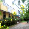 Govt College Of Education Chhatarpur