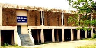 LUVAS Admission 2024: UG, PG, Fees, Dates, Eligibility, Entrance Exam, Selection, Cutoff, Application Form