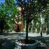 Loyola College of Social Sciences Thiruvananthapuram