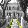 Maharanis Arts and Science College For Women Mysore