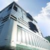 IQ City United World School of Business Kolkata
