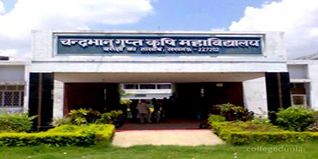Chandrabhanu Gupta Krishi Mahavidyalaya Admission 2024: Entrance Exam, Admit Card
