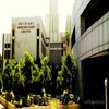 Dr DY Patil College of Agriculture Business Management Pune