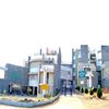 Loknete Mohanrao Kadam College of Agriculture Sangli
