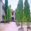 Sir. M.V. Government Science College Bhadravathi