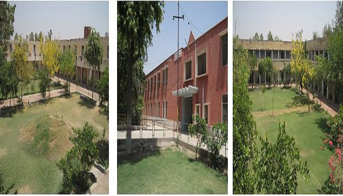 Dayanand College Hisar DNC photo 8
