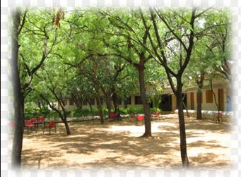 Yadava College Madurai Campus Images photo 5