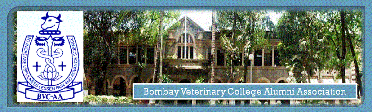 BVC Mumbai College Images photo 2