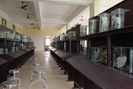 KMCT Kozhikode Infrastructure photo 2
