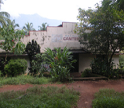 MES Kalladi College Mannarkad Campus photo 3