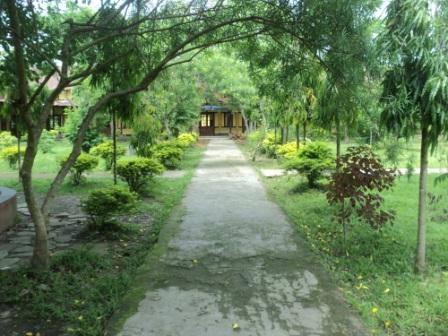 Gargaon College Sivasagar Campus photo 3