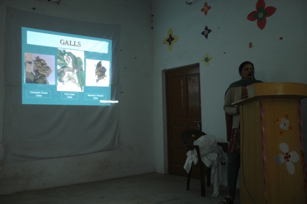 B.S.M. P.G. College Roorkee Infrastructure & Event Gallary photo 3