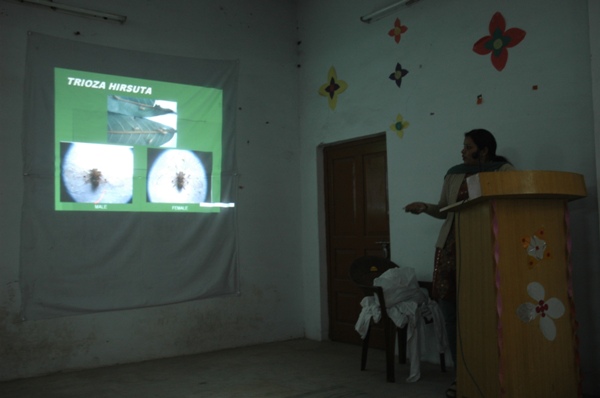 B.S.M. P.G. College Roorkee Infrastructure & Event Gallary photo 4