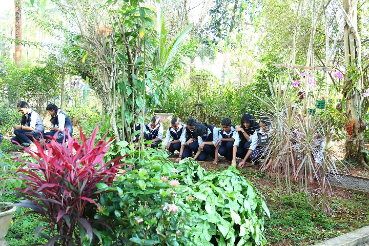 Nirmala College Muvattupuzha Tree Plantation photo 5