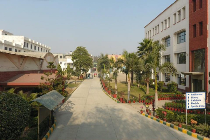 IPEC Ghaziabad Campus photo 10