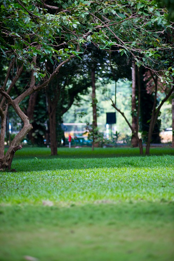 KL University Guntur Campus photo 10