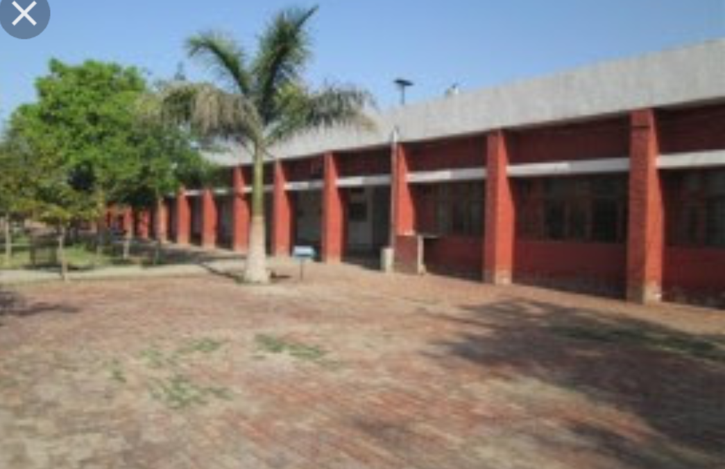 Government college Panipat Events photo 3