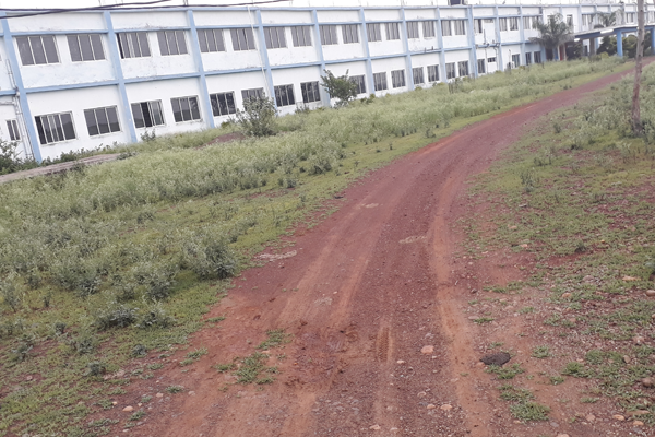 Techno Global University Vidisha Events & Campus photo 1