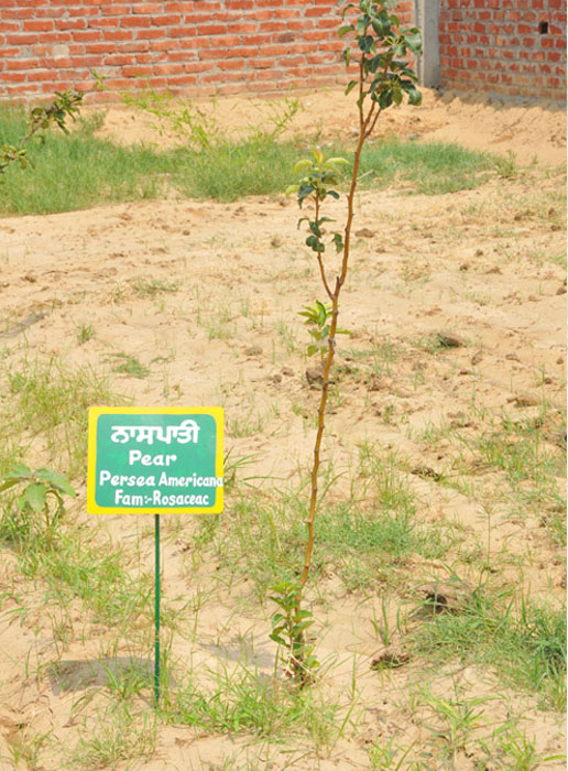 SBS College of Pharmacy Barnala Infrastructure photo 1