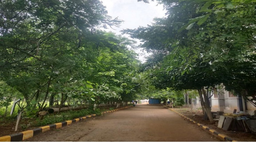 Ashoka Women's Engineering College Kurnool Infrastructure photo 13