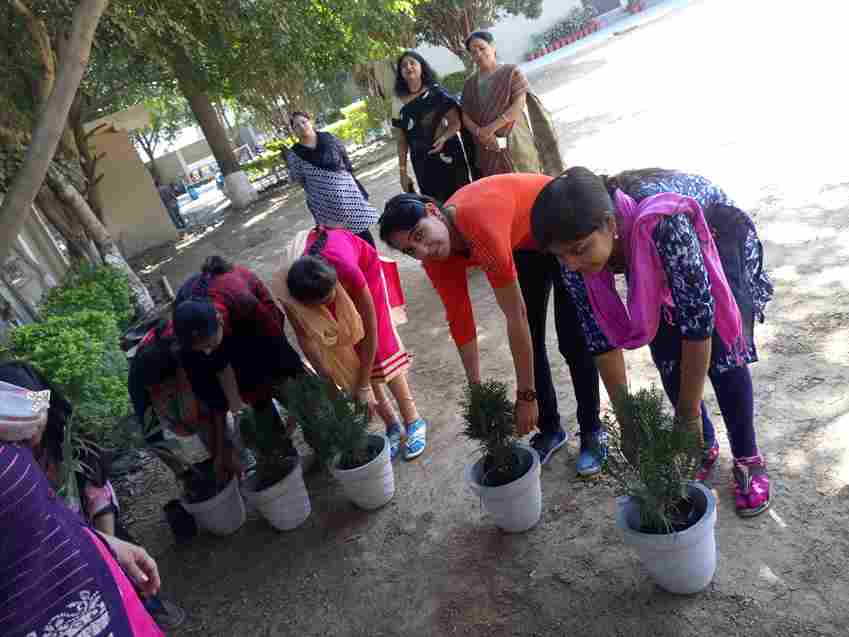 Annie Besant College Indore Green Initiative photo 5