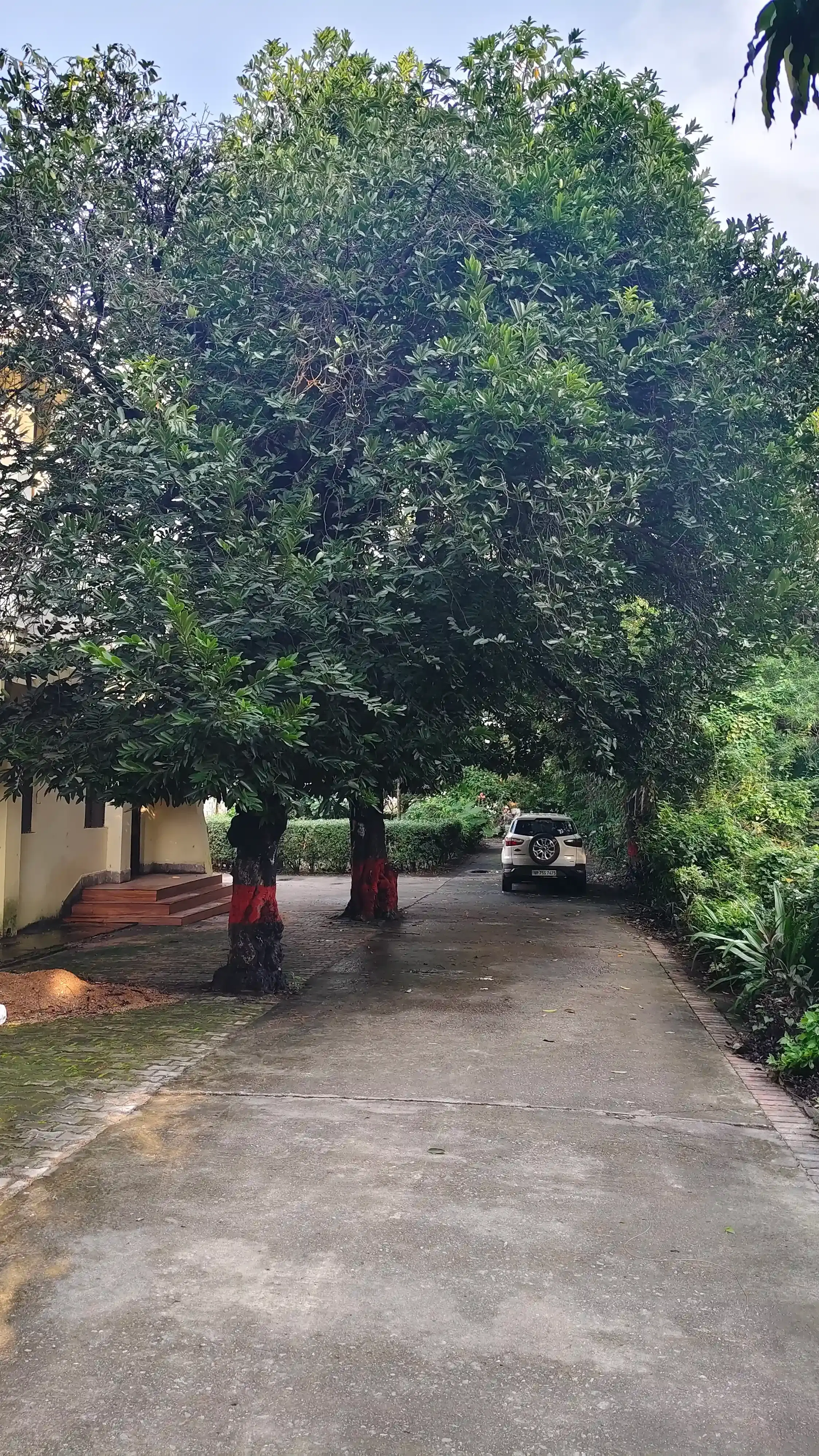 University of Lucknow Academic Building photo 25