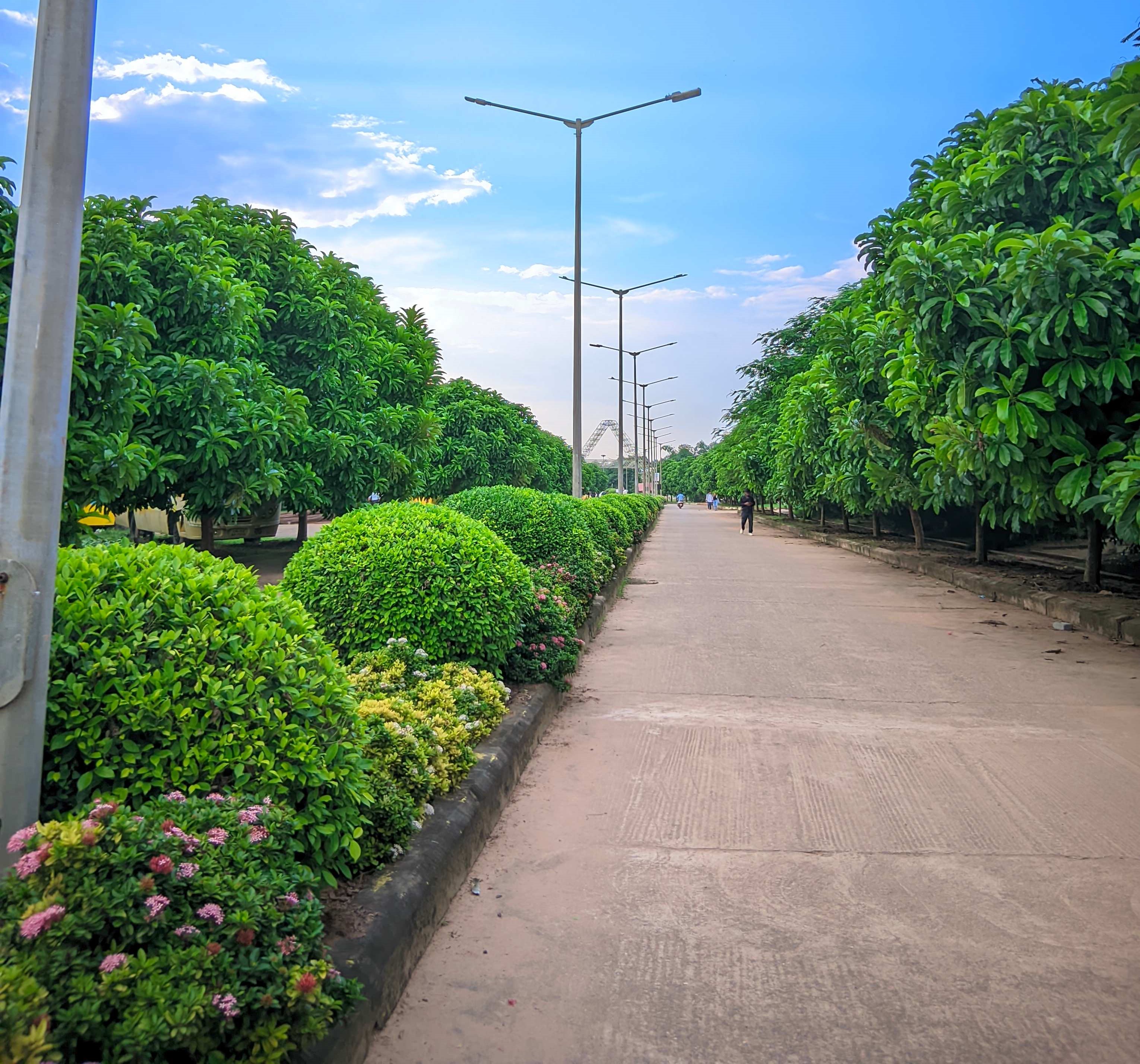 CV Raman Bhubaneswar Academic Building photo 1