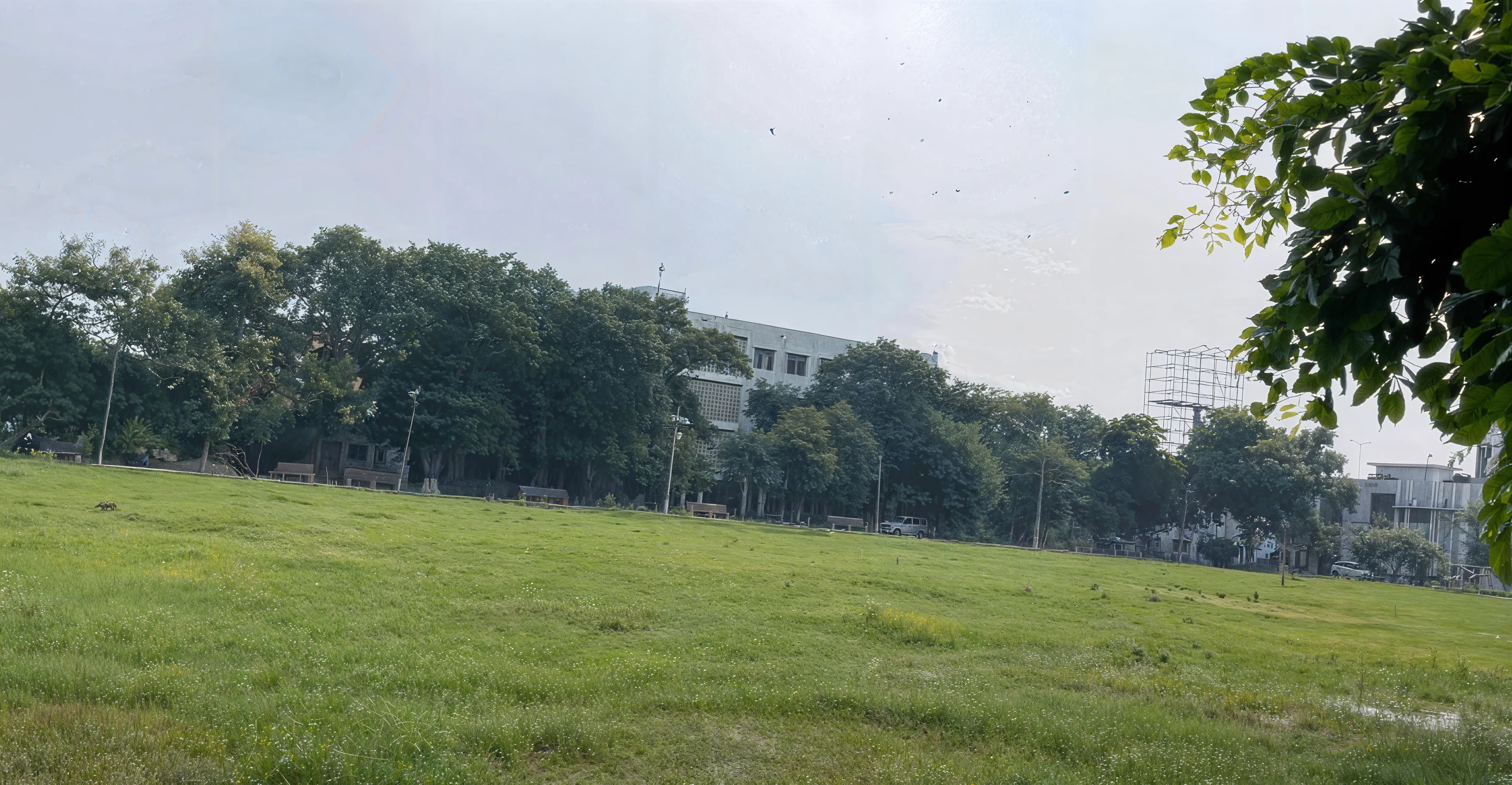 Anugrah Narayan College Patna Facility  photo 4