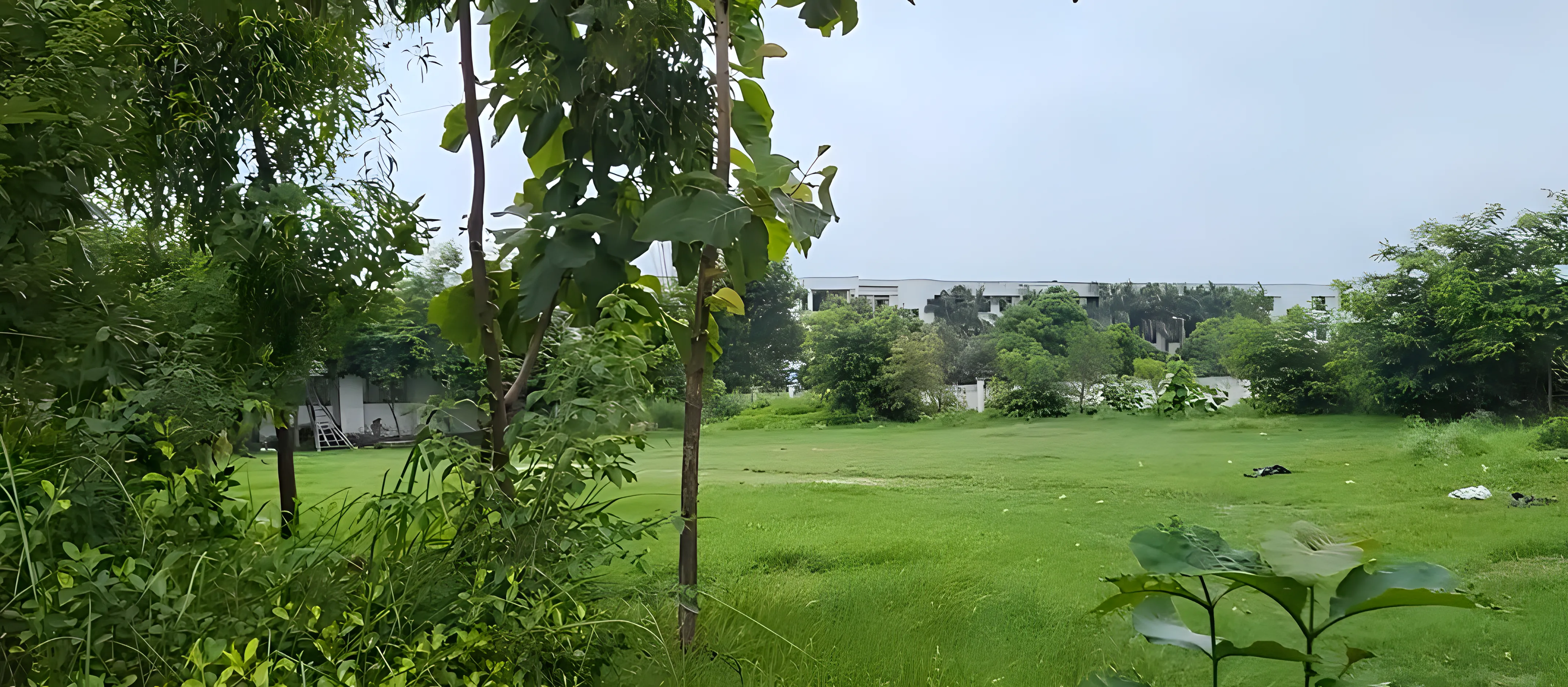 REC Ambedkar Nagar sports photo 2