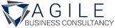 Agile Business Consultancy