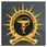 Sudhakarrao Naik Institute of Pharmacy logo