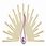 Renuka Institute of Management - [RIM] logo