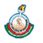 IP Sports College of Education Research and Technology logo