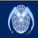 Mahendhira College of Education logo