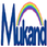 Jai Parkash Mukand Lal Innovative Engineering & Technology Institute - [JMIETI] logo