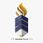 Rahul College of Education logo