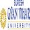 Suresh Gyan Vihar University - [SGVU] logo