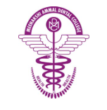 Chennai