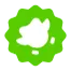 Duolingo logo